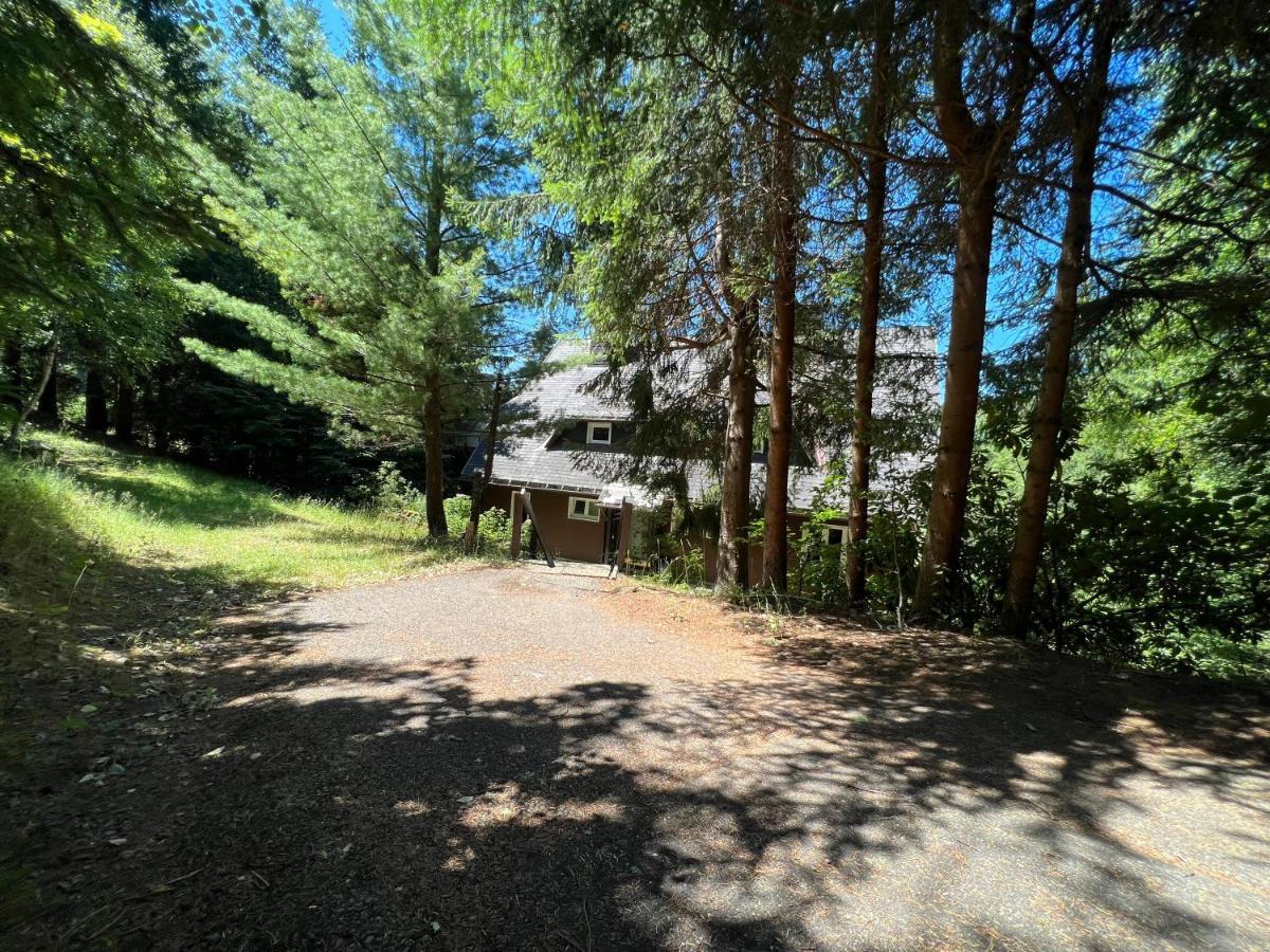 BlackNCozy - Großzügiges Luxusappartement mit Boxspringbetten und Heimkino Feldberg  Exterior foto
